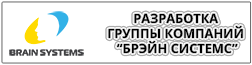 Разработка Группы компаний Брэйн Системс